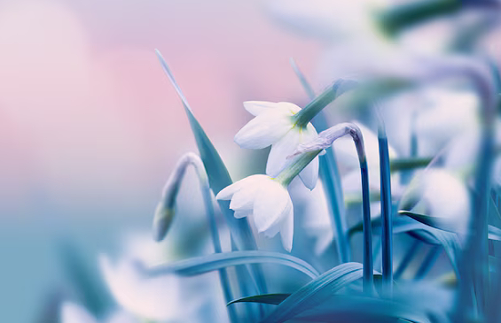 Hfimages