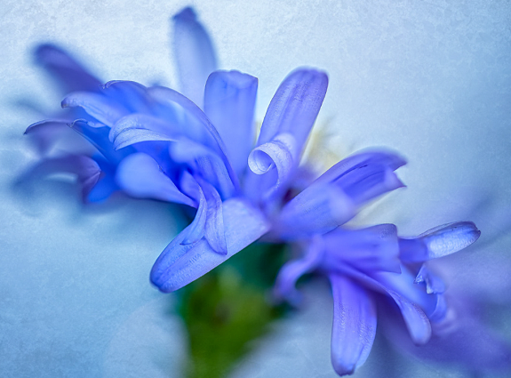 Hfimages