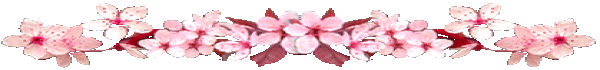 Hfimages