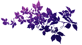 Hfimages