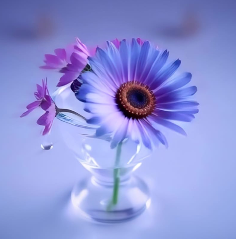Hfimages
