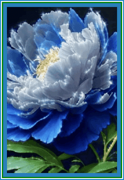 Hfimages