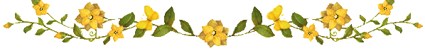 Hfimages