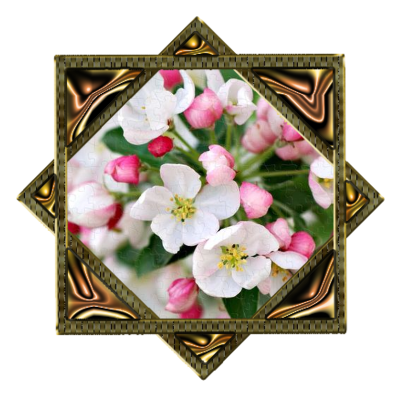 Hfimages