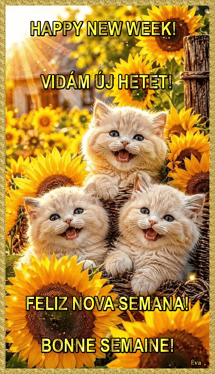 Hfimages
