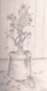 07od6qiilb65s3mno66h.jpg