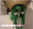 09jfi8tt6chi54zxeqh4.png