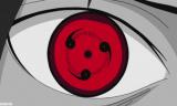 1pav40u6hodd3gpj4ti2.gif