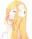 1v84crvxxl2b7o49a9wl.png