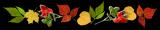 23j3nwkmlt76bgd61gwe.png