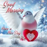 2d9ifz84lrn9i4sp6p.jpg