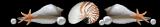 3ii504qjc74vp16r0fpw.gif