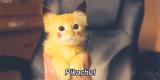5z9a8pzoeib01htyg7gb.gif