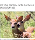 8cb4wblxmwv8ja8y3l.jpg
