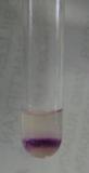 8ftxscwp7j49uq28iyuj.jpg