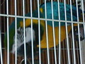 94e4gq1iy2bruo6wm68.jpeg