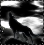 968q93mwicez3ldh8gvp.gif