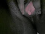a33nh4bmk6x4z84ma4og.png