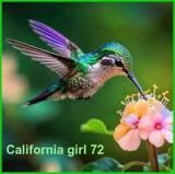 b9fxbg8eivy0c78an8lb.jpg