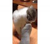 bl5kzqudjbw704ptbbg6.gif