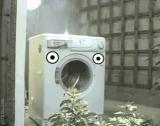 bns3ofampynq7eu86cf9.gif