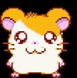 d4nhspf95pk1xys0i5p.gif