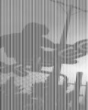 d5bnavfxtwv1sx4tfy33.png