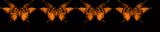 dp9c5igp4xin1pvown79.gif