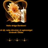 eyizu4nzmz25dgcke9sf.gif