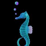 f4gcxcl5zt8yiwvocd5.gif