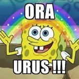 fqirv0top9k5mu9tfr.jpg