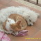 gx5f78yu74gpjnpcrpnc.jpg