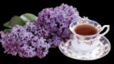 k6rdl6qevo362yq7du.png