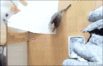 kbj7dac1504zd9c9prg4.gif