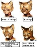 mk5nc0grngbrn9nzy8y.jpg