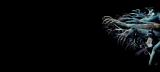 oyp0f5cso39ivtgmmb5z.jpg