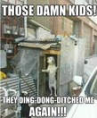 p8d2aw6zwv195w26zvd3.jpg
