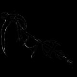 rcul755n07289dwvhuv.png