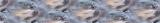 sas6cl54q3sioowkjmsp.png