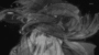 tey9n06ai32btxe0k9b5.gif