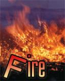u3it328gs7eqseodi8t.jpg