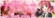 v4m2009bz5d7i88ebdc1.png