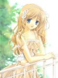 wpxn8rwu041ixxpleku.jpg