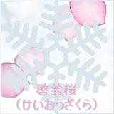 x7lw3885pmuji22ol0nf.png