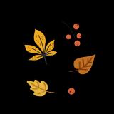 xgcc3mtybv3docdkl8e9.gif