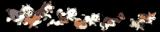 y8039lit0faehsztwltm.gif